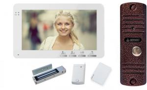 Цветной монитор видеодомофона Altcam VDP71 с вызывной видеопанелью , электомагнитным замком, считывателем и десятью картами доступа (комплект офис) - Компания ТехМонтаж.
